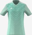 Adidas Team Icon 23 Jersey ADIC1252 Turkuaz Forma