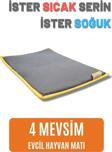 Pawdaz Serin (60 x 40 cm) - 4 Mevsim Kedi/ Köpek Matı, Sıcak Veya Soğuk Kullanılabilen Minder Yatak