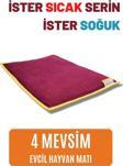 Pawdaz Serin (60 x 40 cm) - 4 Mevsim Kedi/ Köpek Matı, Sıcak Veya Soğuk Kullanılabilen Minder Yatak