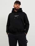Jack&Jones Erkek Sweatshirt 12244912