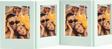 Instax Mini Film Uyumlu Yeşil 4'lü Mıknatıslı Fotoğraf Çerçeve Seti