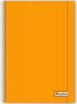 Myline Nova A4 Plastik Kapak 72 Yaprak Kareli Defter