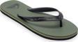 Quiksilver Aqyl101325 Molokai Core Yeşil Erkek Terlik 46