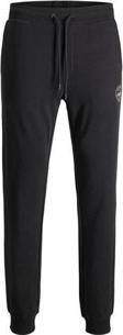 Jack&Jones Erkek Eşofman Altı 12165322