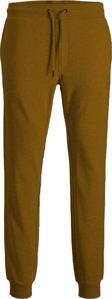 Jack&Jones Erkek Eşofman Altı 12165322