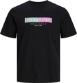 Jack&Jones Erkek T-Shirt 12252681