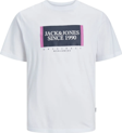 Jack&Jones Erkek T-Shirt 12252681