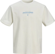 Jack&Jones Erkek T-Shirt 12251105