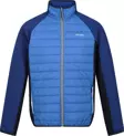 Regatta Clumber IV Hybrid Erkek Ceket-MAVİ