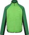 Regatta Clumber IV Hybrid Erkek Ceket-YEŞİL