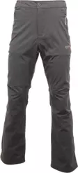 Regatta Fellwalk II Trekking Erkek Pantolon-GRİ