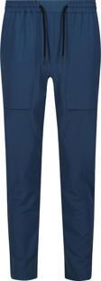 Regatta Farwood Erkek Pantolon-MAVİ