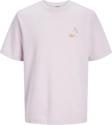 Jack&Jones Erkek T-Shirt 12253380