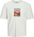 Jack&Jones Erkek T-Shirt 12230734
