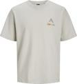 Jack&Jones Erkek T-Shirt 12253380