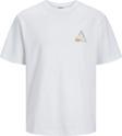 Jack&Jones Erkek T-Shirt 12253380