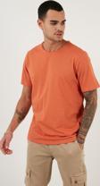 Buratti Bisiklet Yaka % 100 Pamuk Regular Fit Basic Erkek T Shirt 59020001 Tarçın