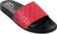 Slazenger FILANTO Erkek Terlik Kırmızı