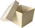 Komple Karton Kutu Düz Renk 8x8x6.5 CM (25 Adet)  Krem