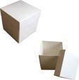Komple Karton Kutu 10X10x10 (10 Adet )  Beyaz