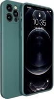 Benks Apple iPhone 12 Pro Max Kılıf Painting TPU Kapak