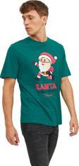 Jack&Jones Jorxmas Erkek Tişört 12246603
