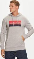 Jack&Jones Jjnolan Pamuklu Baskılı Relaxed Fit Kapüşonlu Sweat Erkek Sweat 12256849