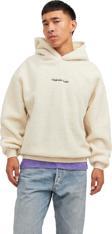 Jack&Jones Jorvesterbro Teddy Erkek Sweatshirt 12249364