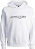 Jack&Jones Blajason Brandıng Sweat Hood Erkek Beyaz Sweatshirt 12249401-01