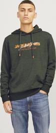 Jack&Jones Alvis Kapüşonlu Erkek Sweat 12256848