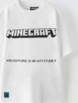ERKEK ÇOCUK MİNECRAFT BASKILI PAMUK TİŞÖRT