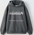 ERKEK ÇOCUK MINECRAFT MODELLİ PAMUK KAPŞONLU SWEAT