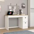 Antec Design Dıego Çalışma Masası Dolaplı