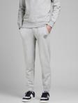 Jack&Jones Erkek Eşofman Altı 12165322