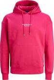 Jack&Jones Jorvesterbro Erkek Sweatshirt