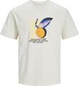 Jack&Jones Jortampa Aop Branding Tee Erkek T-shirt