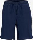 Jack&Jones Jpstkarl Jjsummer Erkek Şort