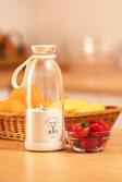 Wrapsol Smoothie Blender Taşınabilir Şarjlı Kişisel Mini Meyve Karıştırıcı 500 Ml