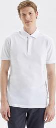 Nautica Erkek T-shirt