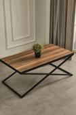 Mobievim Venedik Siyah Metal Ayaklı Ceviz Kaplama Orta Sehpa 60x110 cm