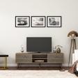DemonteHome Hollywooddh Tv Sehpasi Cevi̇z-Antrasi̇t