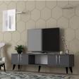 DemonteHome Aseldh Tv Sehpasi (Alt Modül) Antrasi̇t-Gümüş