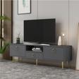 DemonteHome Dropdh Tv Sehpasi Antrasi̇t Altin