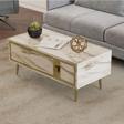 DemonteHome Bri̇cedh Orta Sehpa Efesmermer-Altin