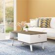 DemonteHome Deluxdh Bi̇r Rafli Orta Sehpa Cevi̇z Beyaz
