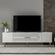 DemonteHome Dekol3Dh Tv Sehpası Beyaz Altın