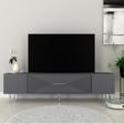 DemonteHome Dekol1Dh Tv Sehpası Antrasit Gümüş