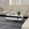DemonteHome Asudedh Orta Sehpa Beyaz Cevi̇z