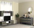 DemonteHome Peli̇ndh Tv Üni̇tesi̇ Ve Konsol 2'Li̇ Salon Takimi Antrasi̇t-Altin