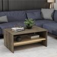 DemonteHome Apollondh Orta Sehpa Cevi̇z Safi̇rmeşe